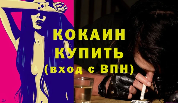 прущая мука Вяземский